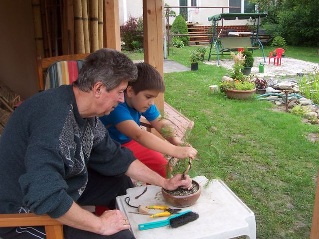 100_5177.jpg